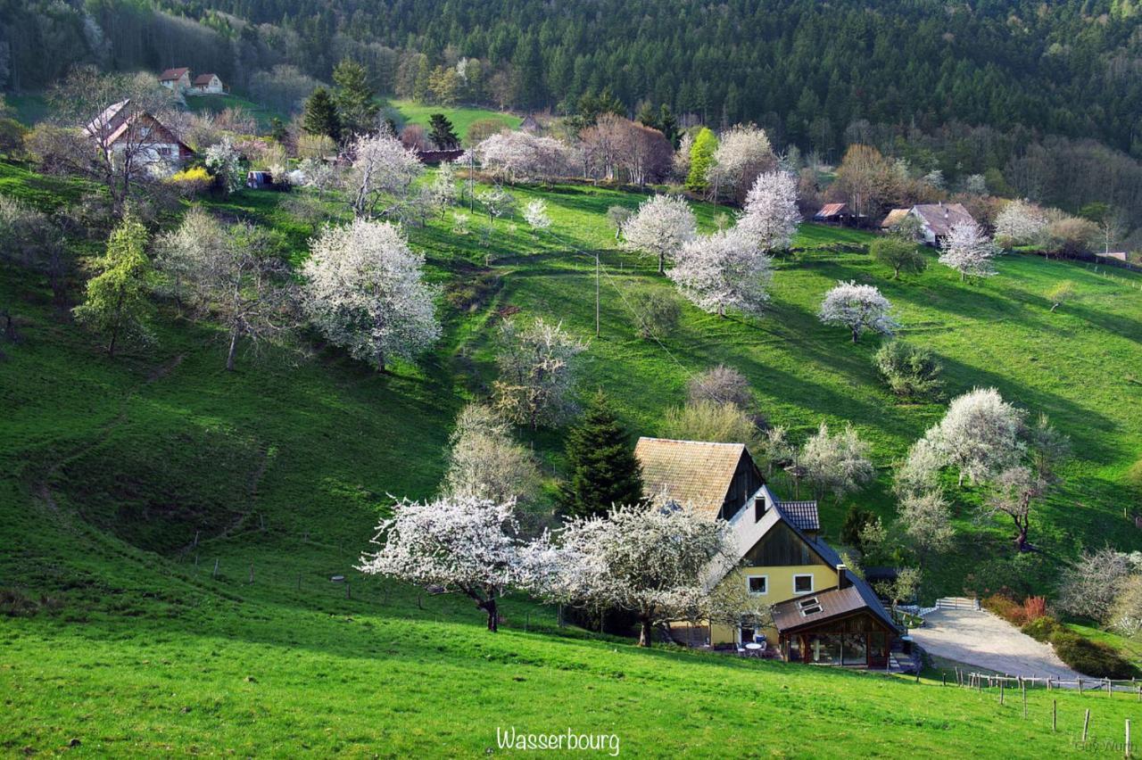 Chalet Du Silberrain Pres De Colmar - Cheminee, Sauna, Piscine Partagee Osenbach Dış mekan fotoğraf