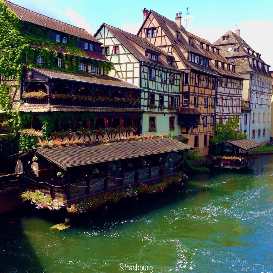 Chalet Du Silberrain Pres De Colmar - Cheminee, Sauna, Piscine Partagee Osenbach Dış mekan fotoğraf