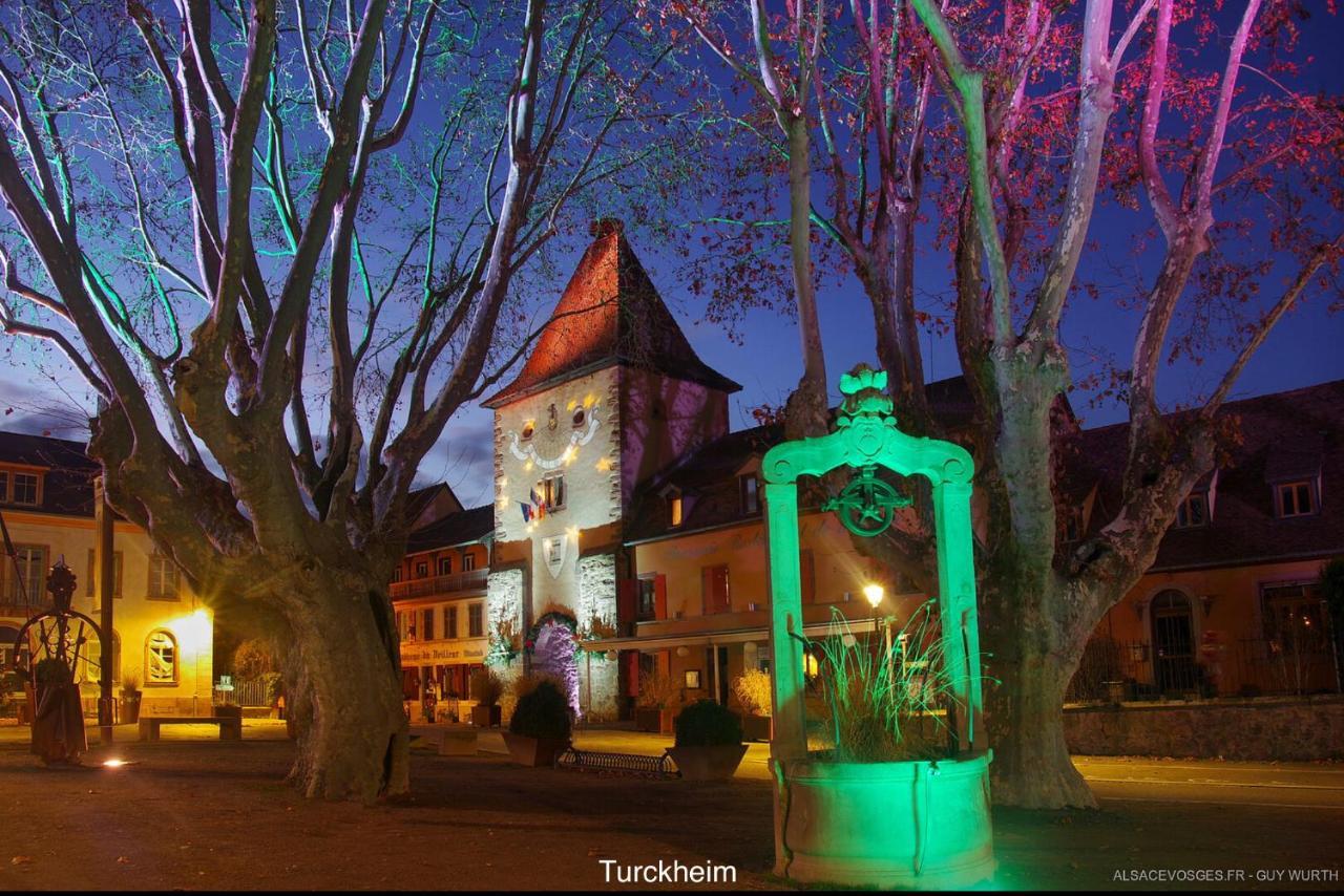 Chalet Du Silberrain Pres De Colmar - Cheminee, Sauna, Piscine Partagee Osenbach Dış mekan fotoğraf