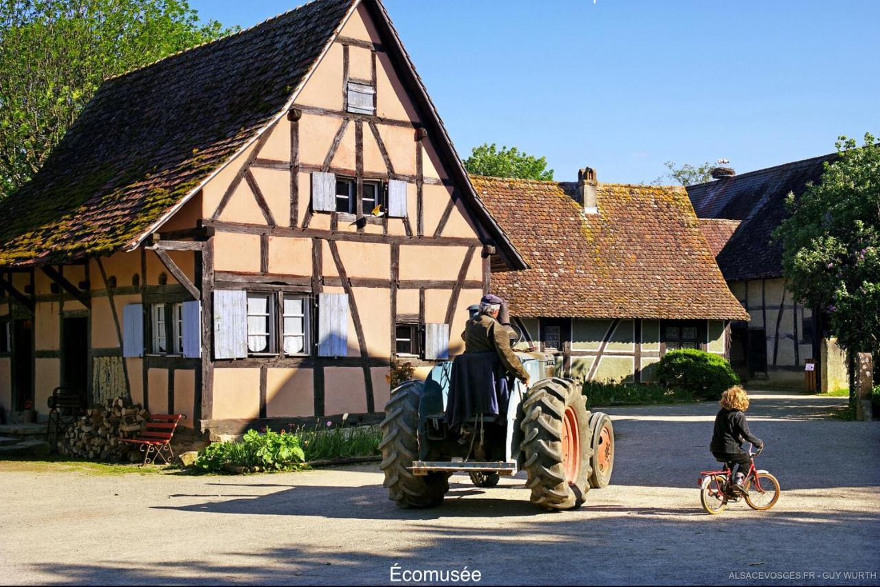 Chalet Du Silberrain Pres De Colmar - Cheminee, Sauna, Piscine Partagee Osenbach Dış mekan fotoğraf