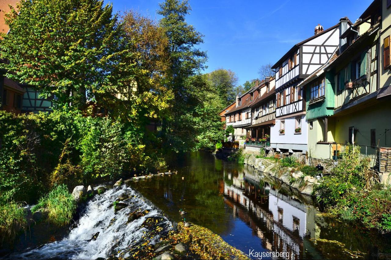 Chalet Du Silberrain Pres De Colmar - Cheminee, Sauna, Piscine Partagee Osenbach Dış mekan fotoğraf